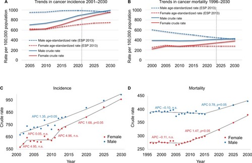 Figure 2 Standardized cancer rates remain steady while a positive gain in annual percent change (APC) leads to increasing crude rates.