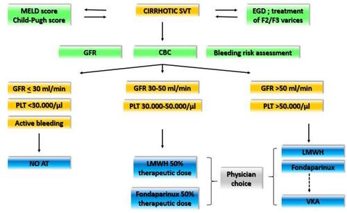 Figure 1 Baseline multi-disciplinary approach to SVT.