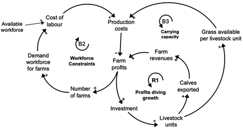 Figure 5. A causal loop summarising some balancing loops included in the model representing bovine livestock farms in Bourbonnais.
