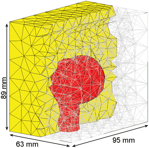 Figure 11. Tissue mesh with tetrahedral elements. [Color version available online.]