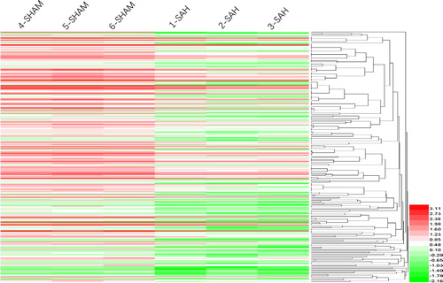 Figure 2. Unsupervised hierarchical clustering analysis of six basilar artery specimens in GSE46696.