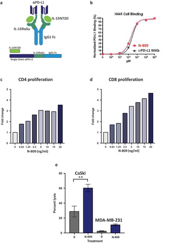 Figure 1. Schematic diagram of N-809, PD-L1 binding, and effects of N-809 on the proliferation and activity of CD4 and CD8 T cells. (a) Illustration of N-809, a bifunctional molecule created by fusing two single chain human anti-PD-L1 domains to an IL-15 superagonist scaffold with an IgG1 Fc portion. (b) Binding of N-809 to PD-L1+ H441 cells was analyzed by flow cytometry using APC labeled antibody specific for the Fc portion of hIgG. (c, d) Healthy donor CD4 and CD8 T cells were stimulated with plate-bound anti-CD3 and increasing concentrations of N-809. Fold change represents the change from untreated (0 ng/ml), anti-CD3 stimulated T cells for one representative donor. (e) Tumor cell lysis by an HPV E7-specific T cell line grown in the presence or absence of N-809 (37.5 ng/ml). Results of a lysis assay using CaSki (cervical carcinoma) cells as targets at a 10:1 E:T ratio is shown. MDA-MB-231 (breast carcinoma) cells were used as a control to determine specificity of the lysis. **P < 0.01.