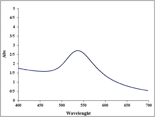 Figure 1. UV–Vis spectra of biosynthesized AuNPs.