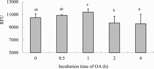 Figure 4. Effects of incubating time on LCFA uptake in hepatocytes from grass carp (C. idellus).