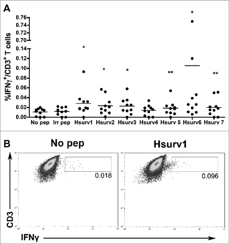 Figure 1. Selected survivin peptides induce production of Interferon γ in (T)cells isolated from naïve healthy donors. Blood monocyte-derived dendritic cells (DC), cultured from 10 healthy human donors were pulsed with survivin peptides (Hsurv 1–7) and used in co-culture experiments with autologous T cells. Intracellular IFN-γ in T cells was evaluated by flow cytometric analyses. (A) Percentages of IFN-γ expressing CD3+ T cells induced by each survivin peptide. DC loaded with an irrelevant peptide or not pulsed with any peptide were used to stimulate T cells as controls. Data are presented as mean of IFN-γ+ CD3+ T cells ± SE, with means from “Hsurv” conditions compared with control “No Pep” using a Student's t-test and significance at *P < 0.05, **P < 0.1. (B) Representative data from flow cytometric analysis of IFN-γ expressing CD3+ T cells. T cells were pulsed with DC not loaded (No Pep) or stimulated with Hsurv6 peptide.