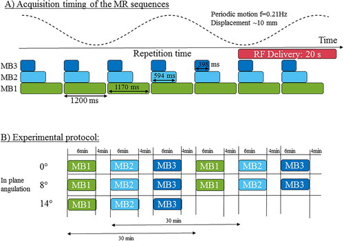 Figure 1. Acquisition timing and experimental protocol. (A) Multi-slice temperature images were dynamically acquired every 1.2 s for 6 min. Three different multiband accelerations were tested, with a minimum acquisition time of 398 ms. To simulate a respiratory motion, a periodic displacement of the phantom (f = 0.2 Hz) was generated with an amplitude of 10 mm. (B) The slice position was rotated from 0° (in-plane motion), 8°, 14° to investigate the influence of an out-of-plane motion on the thermometry results. Each acquisition set was repeated twice (except for 14° rotation) with a minimum delay of 4 min between consecutive acquisitions, to investigate the repeatability of the measurement.