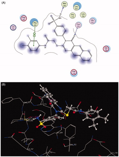 Figure 4. 2 D and 3 D interaction maps of compound 10 inside the active site of 1M17.