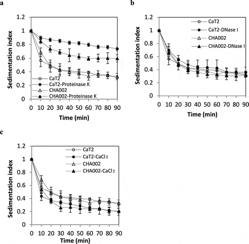 Figure 5. Effects of proteinase K treatment, DNase treatment and addition of CaCl2 on the sedimentation indices of CaT2 and CHA002.