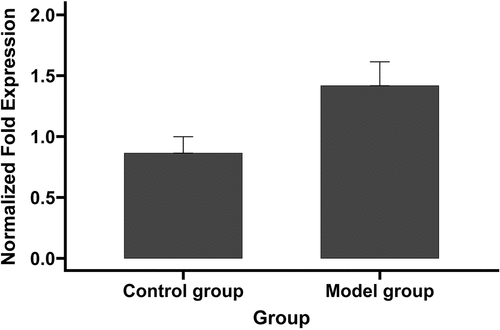 Figure 4. miR-221-5p expression in model and control groups assessed by RT-qPCR.