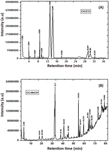 Figure 3 GC- MS chromatogram: (A) O. gratissimum essential oils and (B) methanolic extracts. Peak numbers refer to Tables 1 and 2, respectively.