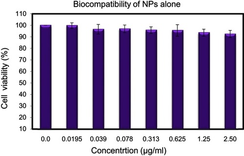 Figure 9 Biocompatibility of cockle shell–derived CaCO3 nanoparticle (NP) on MCF-7 cells.