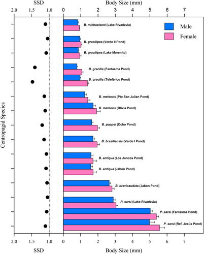 Figure 2 Mean body size (± SD) and sexual size dimorphism (SSD) of centropagid species from Patagonian lakes and ponds. Left panel: SSD – vertical dashed line indicates no SSD (size of males = size of females). Right panel: male and female body sizes of the different copepod species studied.
