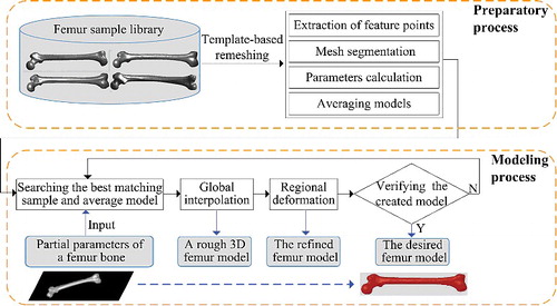 Figure 1. Schematic diagram of the proposed method. Starting from a set of femur sample models, the desired 3D modem which best suited the parent's femur bone could be generated even if a part of the bone was damaged or only partial data about the bone shape was available.