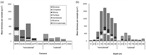 Fig. 12  Taxa biomass distribution in samples from (a) transects and (b) depths in Kongsfjorden, Svalbard.