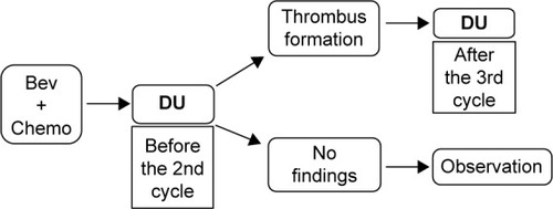 Figure 1 Timing of DU: study outline.