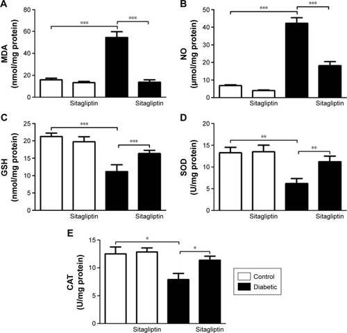 Figure 3 Effect of sitagliptin on oxidative stress and antioxidant defense system parameters.