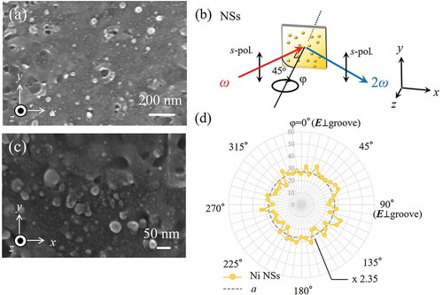Figure 16. Nanostructural effects on the SHG intensity pattern. (a) The SEM image of the surface of a Ni NS sample, and (b) the expanding image. (c) Configuration of the NSs in the SHG intensity measurement. (d) The SHG intensity pattern of the NSs as a function of the sample rotation angle φ. The data points are connected by lines to guide the eye. The dotted circle shows the isotropic intensity pattern formed by averaged intensity.