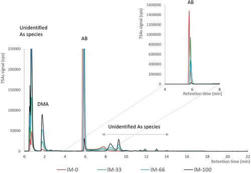 Figure 3. Chromatograms of the organic arsenic species in the diets (overlay of diet IM-0, IM-33, IM-66 and IM-100) analysed by cation-exchange HPLC-ICPMS. The major arsenic peaks are in the void of the chromatogram (< r.t. 1 min) being unidentified arsenic species, dimethylarsinate (DMA) and arsenobetaine (AB). Minor unidentified arsenic species are detected later in the chromatogram (r.t. 8–15 min). The enlargement shows the full signal scale for AB.