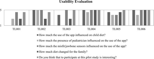 Figure 2. Usability evaluation.