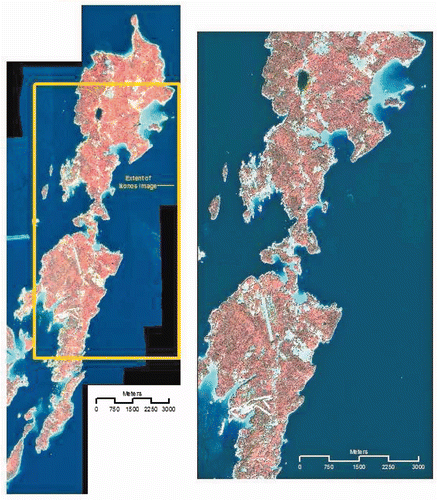 Figure 2. CASI (left) and IKONOS (right) images of Islesboro, Maine; yellow box indicates extent of IKONOS image.