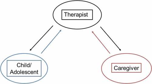 Figure 1. Therapeutic triad and perspectives measured