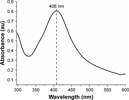 Figure 1 UV-vis spectrum of the biosynthesized AgNPs using the free extract of cells of the fungus Duddingtonia flagrans.Abbreviations: AgNPs, silver nanoparticles; UV-vis, ultraviolet-visual.