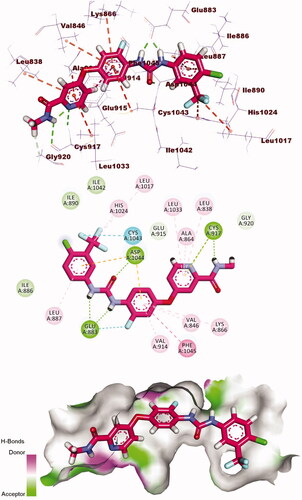 Figure 8. 3D, 2D, and surface mapping of the binding mode of sorafenib into VEGFR-2. The hydrogen bonds were presented in green colour with Cys917, Glu883, and Asp1044. The hydrophobic bonds were presented in orange colour with Leu1033, Leu838, Ala864, Val846, Val914, Phe1045, Cys1043, Leu1017, His1024, and Leu887.
