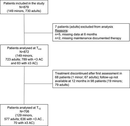 Figure 1 Patients disposition.