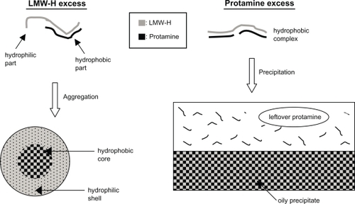 Figure 3 Illustration of LMW-H/P MP and LMW-H/P NP generation by mixing protamine to LMW-H at various ratios.Abbreviations: LMW-H, low-molecular-weight heparin; LMW-H/P, low-molecular-weight heparin/protamine; MP, microparticle; NP, nanoparticle.