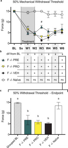 Figure 9. Female immunocompromised rat models of sciatic cuff–induced neuropathic pain treated with pregabalin and progesterone did not show sustained differences from vehicle-treated rats or recoveries to baseline ipsilateral paw withdrawal thresholds