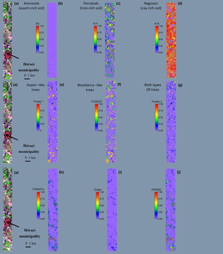 Figure 7. Classification of fractional landscape components in the Hyperion scene: (a) OE-1 Hyperion image (red, green, blue bands centered at 1648.0 nm, 823.0 nm and 661.0 nm), (b) quartz-rich Arenosols (A9), (c) iron-rich Nitisols (A14), (d) clay-rich Latosols (A16), (e) Forest1 (Aspen-like trees), (f) Forest1 (Blackberry-like trees), (g) FOREST (all), (h) GrassDry (nonphotosynthetically active), (i) Grass (photosynthetically active), (j) GRASS (all).