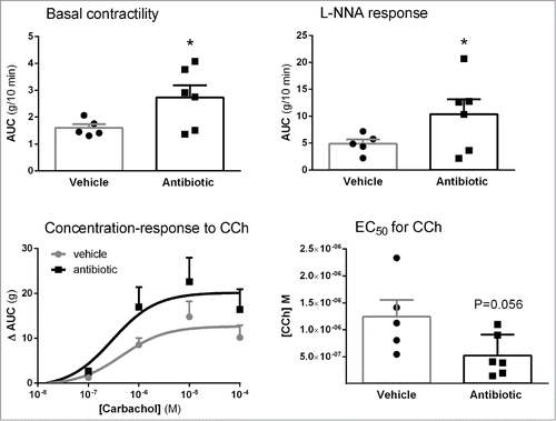 Figure 8. Effects of antibiotic treatment on colonic contractility assessed in vitro: basal contractility; contractile responses to NO-synthase inhibition with LNNA; Concentration-response curves to cholinergic stimulation with carbachol (CCh) and corresponding EC50s. Data are mean ± SEM, n = 5–6 per group, each point represents an individual animal (except for the concentration-response curves, where only mean ± SEM is shown). *: P < 0.05 vs. vehicle.
