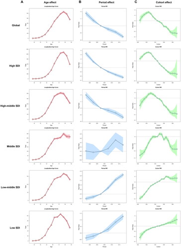 Figure 8. The age-period-cohort analysis of the DALYs rate of TBL cancer attributable to occupational carcinogens from 1990 to 2019. (A) The age effect; (B) The period effect; (C) The cohort effect.