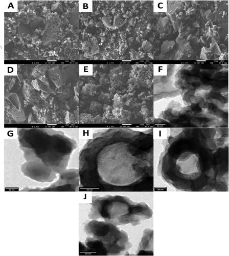 Figure 2. SEM images of P(OT) (A), P(OT)/GO NCs (B), P(OT)/GO/CS NCs (C), P(OT)/GO/SE NCs (D) and P(OT)/GO/ST NCs (E), and TEM images of P(OT) (F), P(OT)/GO NCs (G), P(OT)/GO/CS NCs (H), P(OT)/GO/SE NCs (I), and P(OT)/GO/ST NCs (J).