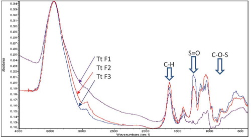 Figure 1. FTIR spectra of sulfated polysaccharides obtained from T. turbinata. TtF1, TtF2, and TtF3 are sulfated polysaccharide fraction eluted with buffers that contained 0.4, 0.8, and 1.2 M NaCl, respectively, in anion exchange chromatography.