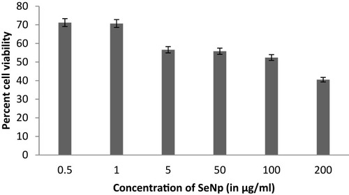 Figure 9 Cell viability assay of HeLa cells. The cells were treated for 24 h with different concentrations of SeNP in 96-well plate and cell viability was analyzed by its capacity to reduce the formazan dye by checking the absorption maxima at 570 nm. Graph was plotted with concentrations of SeNP (in μg/mL) on x-axis and percent cell viability on y-axis.