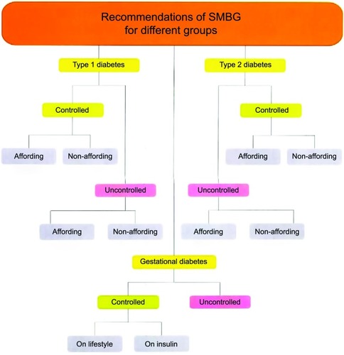 Figure 2 BRIGHT recommendations of SMBG for different groups.