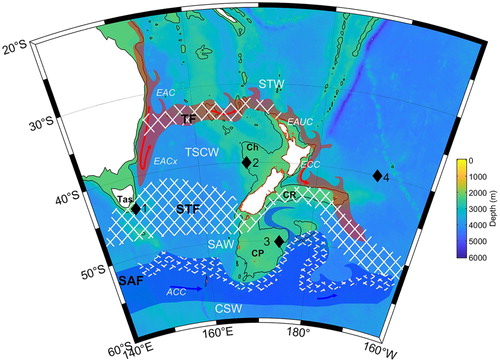 Figure 1. Map of region showing bathymetry, with the 1000 m isobath shown (black line). The reddish-brown shaded areas and arrows illustrate the locations and connection of the East Australian (EAC), East Auckland (EAUC) and East Cape Currents (ECC). The blue shaded area and arrows illustrate the location of the Antarctic Circumpolar Current (ACC). Surface water masses are Subtropical Water (STW), Tasman Sea Central Water (TSCW), Subantarctic Water (SAW), and Circumpolar Surface Water (CSW), and are defined by their temperature-salinity properties. Hatched areas are the fronts separating these water masses – Tasman Front (TF), Subtropical Front (STF), and Subantarctic Front (SAF). Bathymetric and geographical features are Challenger Plateau (Ch), Chatham Rise (CR), Campbell Plateau (CP), and Tasmania (Tas). Four representative sites are labelled 1 to 4.