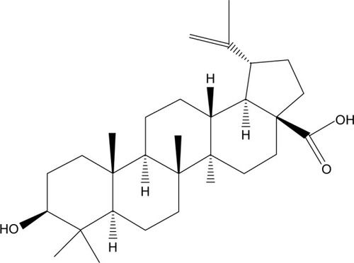 Figure 1 Chemical structure of betulinic acid.