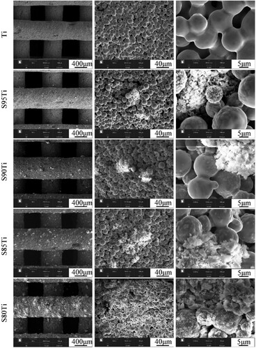 Figure 9. SEM images of sintered scaffolds of Ti, S95Ti, S90Ti, S85Ti, and S80Ti.