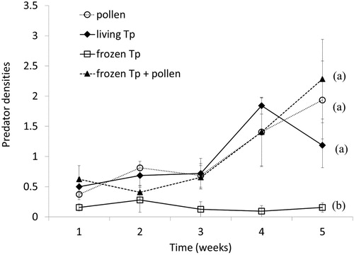 Figure 3. Population dynamics of the predatory mite Amblyseius swirskii on chrysanthemum plants in the presence of four types of food sources: pollen (cattail pollen, Typha angustifolia), living Tp: (mixed life stages of Tyrophagus putrescentiae reared on dog food + yeast), frozen Tp: (frozen larvae of T. putrescentiae reared on dog food + yeast) and frozen Tp + pollen: ([frozen larvae of T. putrescentiae reared on dog food + yeast] + cattail pollen). Different letters indicate significant differences amongst treatments through time (LSD test: p < 0.05).