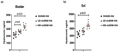 Figure 2. HA levels evaluated by Quantikine™ Hyaluronic acid Immunoassay in bladder (a) and gut (b) samples from SHAM-HA group, LD-vLMW-HA treated group and HD-vLMW-HA treated group.