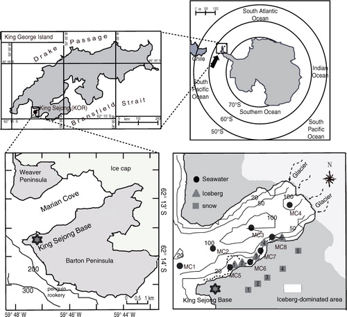 Fig. 1  Location of Marian Cove near the Korean Antarctic station, King Sejong, on King George Island. Sampling sites for seawater, ice floats and snow are indicated.