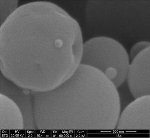 Figure 2 Electron microscopy showing surface morphology of spray-dried particles.