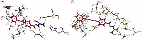 Figure 5. Interactions of (A) compound 3g and (B) 6e with E. coli LpxC.