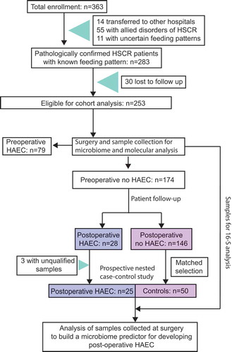Figure 1. Flow-chart of cohort and prospective nested case–control studies.