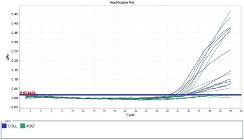 Figure 3 Five dilutions of positive control (methylated human bisulfite-converted DNA).