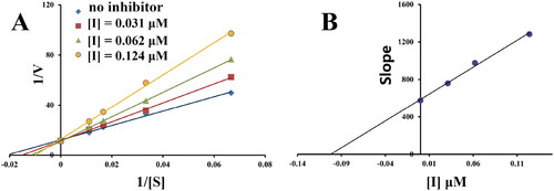 Figure 2. Kinetic study of MAO-B inhibitory mechanism by compound 3h. (A) Lineweaver-Burk plots of MAO-B activities in the absence and presence of various concentrations of 3h (0.031, 0.062, and 0.124 μM), (B) the slopes of the Lineweaver-Burk plots vs. the 3h concentrations.