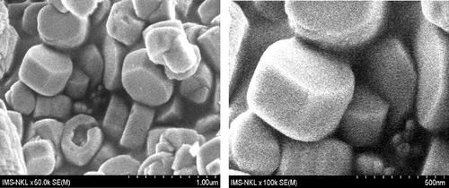 Figure 5. SEM images of NM-ZSM-5.