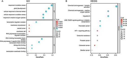 Figure 5 Results from GO and KEGG enrichment analyses. (A) Top 5 significant GO enrichment terms in the BP, CC, and MF categories across the 59 common targets. (B) Top 10 KEGG enrichment pathways across the 59 common targets.